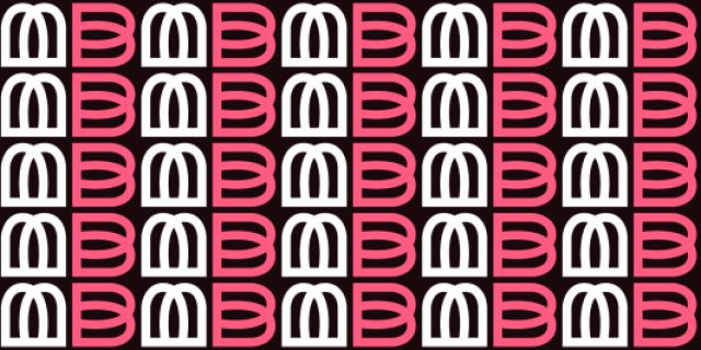 Videografas nuolatiniam darbui