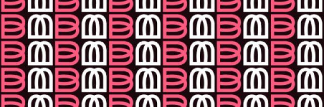 Videografas nuolatiniam darbui